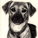 Gina