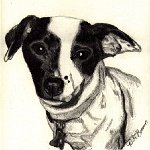 Tillie